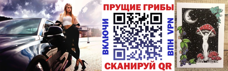 Галлюциногенные грибы мицелий  Купить закладки  Северская 